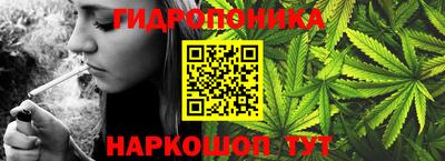 молекула духа Будённовск